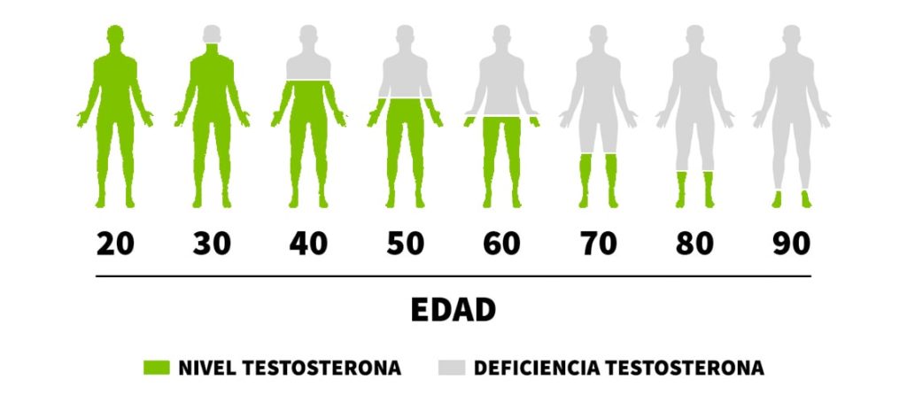 niveles de testosterona de acuedo a la edad