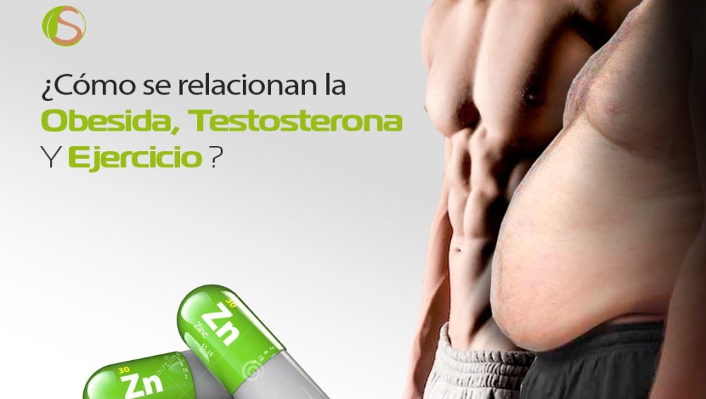 zinc relación con la obesidad testosterona y ejercicio