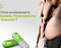 zinc relación con la obesidad testosterona y ejercicio